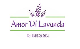 Amor di Lavanda